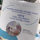 빙그루밍 이미지