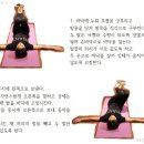 알펜시아 스포츠파크 크로스컨트리 경기장 이미지