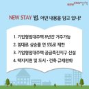 스테이무어 네이버블로그