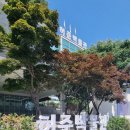 공암나루근린공원 | 허준박물관과 공암나루 근린공원