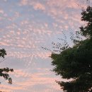 돌실공원 이미지