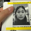 고래하우스 | 뷰좋은 가성비 호텔 추천 더 시드니 블러바드, 고래 투어 후기, 오페라하우스 뷰 스테이크 맛집 비추 후기