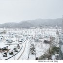 (주)충무공 미나리self | 아산 현충사 도고온천