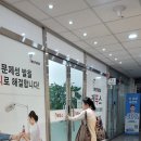 레푸스 호매실점 이미지