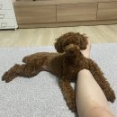 뭉쓰살롱 이미지