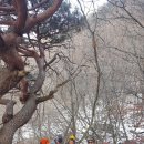 용소1길 이미지