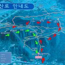 진달래약국 Daum카페