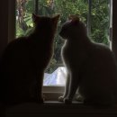 제주기억 이미지