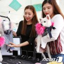 인천반려동물농장 이미지