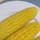 범이농장 이미지