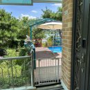 개멍물멍 이미지