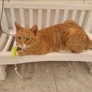 염창역 3번출구 이미지