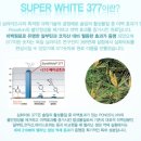 엔젤스킨뷰티샵