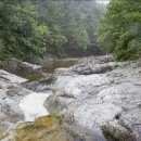 숲속계곡 이미지