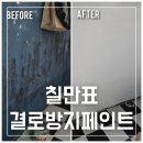 까만곰팡이 규조토페인트 결로방지제로 소멸시킨 후기