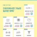 다비치안경포항점 이미지