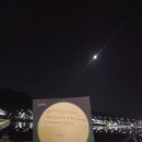 구지공원 | 대구 송해공원 밤 산책 후기