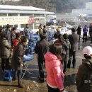 북삼친환경참외연구회 | 대구 칠곡 사회적기업 마을기업 북삼친환경참외연구회