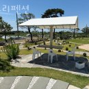 솔트리펜션
