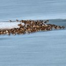 나산농장 이미지