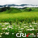 풀밭나라 이미지