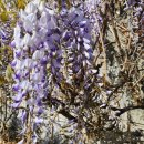 황사1교 이미지