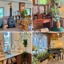 강아지소풍 | 영종도 예쁜 잔디밭이 있는 감성카페 ‘소풍’, 강아지 동반 후기