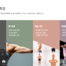 댄스인댄스파워