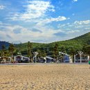 망상오토캠핑리조트 이미지