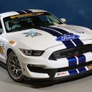 [모터스포츠]포드, 쉘비 GT350R-C 공개 이미지