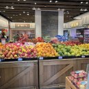 빙키