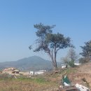 왕장2리 이미지