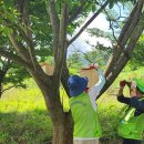 도요마을 이미지