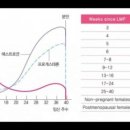 에이치아이여성의원 이미지