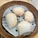 당일치기여행, 베이징키친 후기(베이징덕, 마파두부, 트리플솥밥), 윈팰리스 분수쇼, 시계탑, 파리지앵...