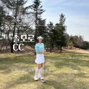 골드힐카운티골프클럽 | 솔모로CC 날씨 확인하는법, 그린피와 근처 맛집 등 라운딩 후기