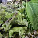 감포별미횟집 이미지