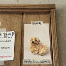 케이크위크