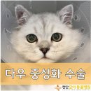 다우동물병원 네이버블로그
