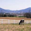 동현목장2 이미지