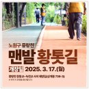 노원 초안산 수국축제 다녀온 후기｜비석골공원 수국 명소, 황톳길까지