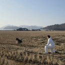 순천만 흑두루미 국제 심포지엄 이미지