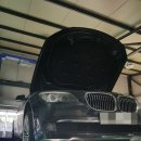 골드피스톤 이미지