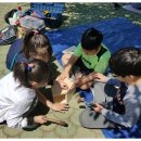 칠서초등학교 이미지