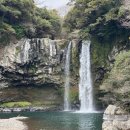 천지연랜드 | 제주 여행지 추천｜천지연폭포 입장료 · 운영시간 · 주차 총정리