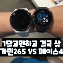 가민헤어 | 가민 포러너 265 VS 코로스 페이스4 중에 끼끼의 선택은? (구매기, 사용후기 포함)