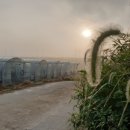 길만농장 이미지