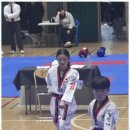 내체력 태권도장 이미지