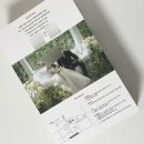다인 애드피아 | 10만원대 3단 접지형 셀프 종이 청첩장 미리캔버스로 만들기 (시안 공유, 성원애드피아 청첩장 인쇄, 기간)