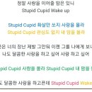 [슬기의 플레이리스트] 6. Stupid Cupid 이미지